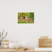 Poster Cheetah Companions - Repos dans la nature" (Cuisine)