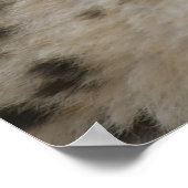 Poster Cheetah Cub avec maman (Coin)