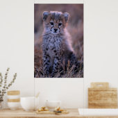 Poster Cheetah Cub | Savannah, Kenya (Cuisine)