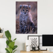 Poster Cheetah Cub | Savannah, Kenya (Bureau à domicile)