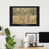 Poster Cheetah Dans Une Contemplation Tranquille Personna (Bureau à domicile)
