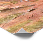 Poster Cheetah et Antelopes par Swan, animal sauvage Vint (Coin)