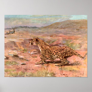 Poster Cheetah et Antelopes par Swan, animal sauvage Vint