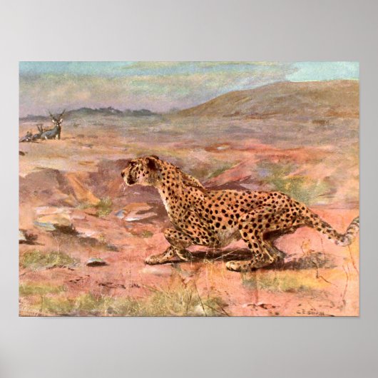 Poster Cheetah et Antelopes par Swan, animal sauvage Vint (Devant)
