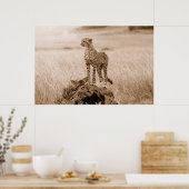 Poster Cheetah Kenya Afrique (Cuisine)