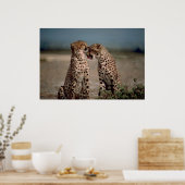 Poster Cheetah Love (Cuisine)