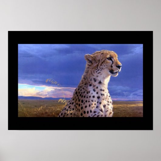 Poster-Cheetah Poster (Voorkant)