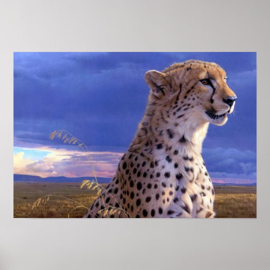 Poster-Cheetah Poster (Devant)