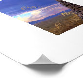 Poster-Cheetah Poster (Coin)