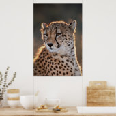 Poster Cheetah regarde loin (Cuisine)
