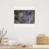 Poster Cheetah relaxant (Cuisine)