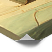 Poster Cheetah Resting in Sunlit Room (Coin)