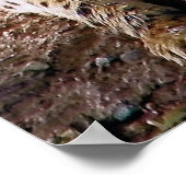 Poster Cheetah sur un rocher (Coin)