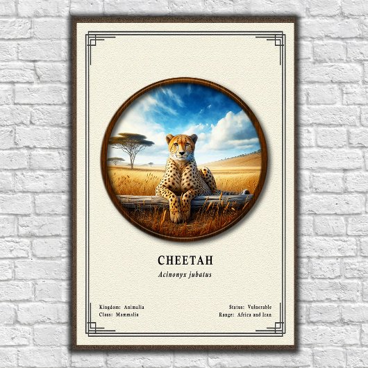 Poster Cheetah Zoology Series