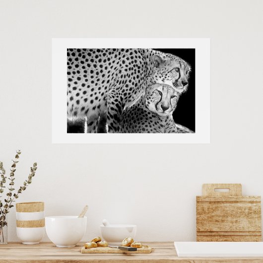Poster Cheetahs #1 (Cuisine)