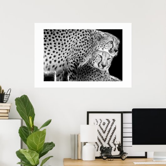 Poster Cheetahs #1 (Bureau à domicile)
