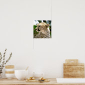 Poster Cheetahs de chats sauvages de la Jungle africaine (Cuisine)
