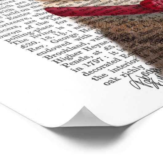 Poster Chef de chats (Coin)