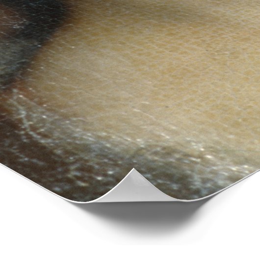 Poster Chef de comte (Coin)