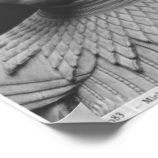 Poster Chef de la force (Coin)