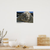 Poster Chef de la Medusa (Cuisine)