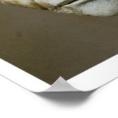 Poster Chef de Philippe le Arabe, Empereur Romain (244-24 (Coin)