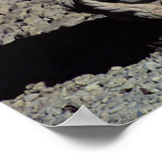 Poster Chef de Zeus-Oromandes et déesse (Coin)