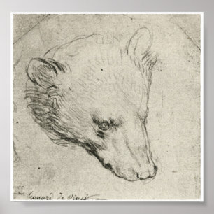 Poster Chef d'Ours, Léonard de Vinci