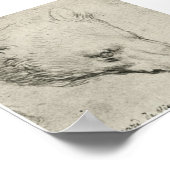 Poster Chef d'Ours, Léonard de Vinci (Coin)