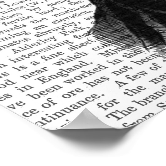 Poster Chef du Plante de Fern Head (Coin)