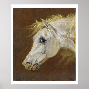 Poster Chef d'un Cheval Arabe Gris (huile sur toile sur p