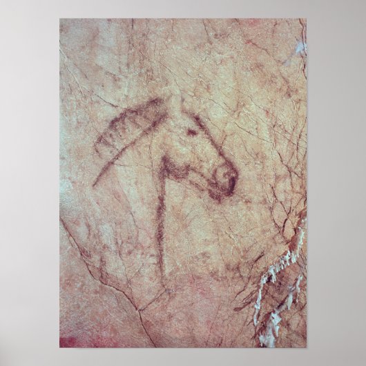 Poster Chef d'un cheval, de la Cueva de la Pena (Devant)