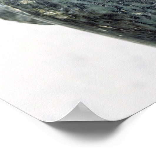 Poster Chef d'un homme (Coin)