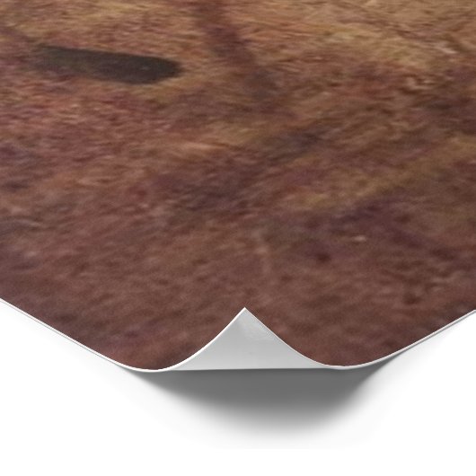 Poster Chef femme (Coin)