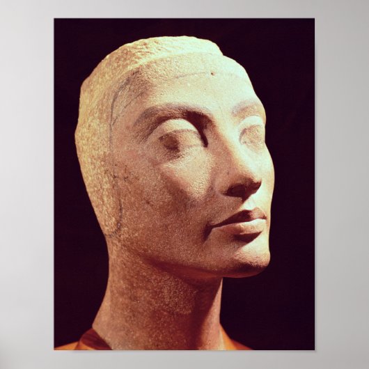 Poster Chef inachevé de Nefertiti, Nouveau Royaume (Devant)