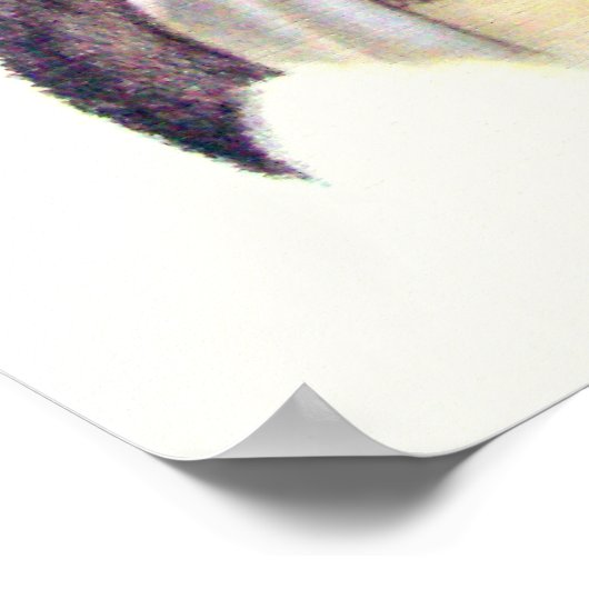 Poster Chef indien (Coin)