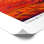 Poster chef indigène américain par serdar hizli (Coin)