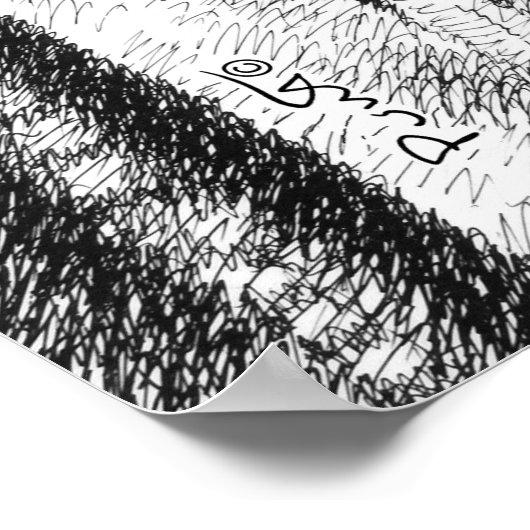 Poster Chef Joseph 1 Posters-Prints (Coin)