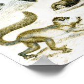 Poster Cheiroptera, Insectivora (Coin)