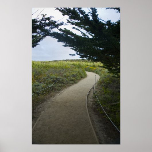 Poster Chemin (Devant)