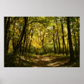 Poster Chemin (Devant)