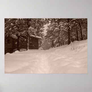 Poster Chemin