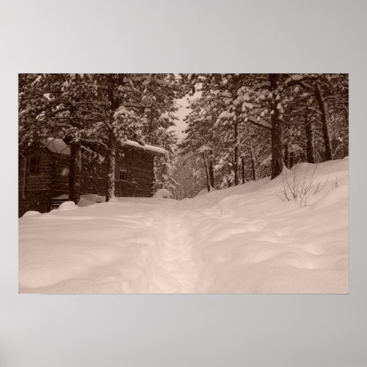 Poster Chemin (Devant)