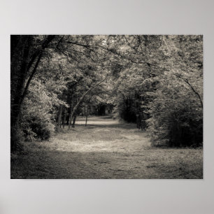 Poster Chemin à l'inconnu