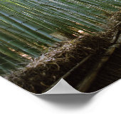 Poster Chemin à travers le Bamboo : Kyoto, Japon (Coin)