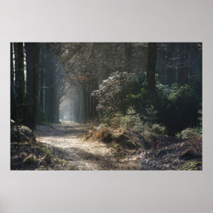 Poster chemin abandonné dans les bois