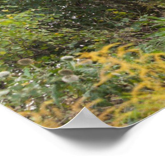 Poster Chemin arboré en automne (Coin)