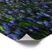 Poster Chemin bleu (Coin)