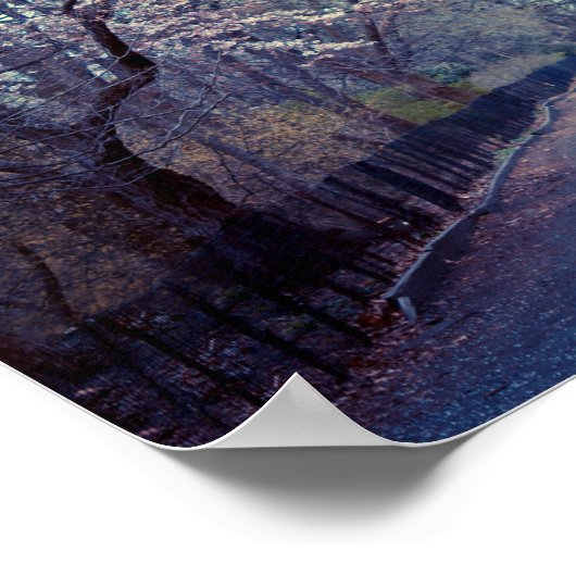 Poster Chemin Central Park Cherry Blossom (Coin)