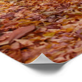 Poster Chemin couleur (Coin)